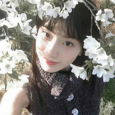 半妖少女绮丽谭